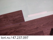 Top view of the laying of laminate boards on the underlying floor layer. Home renovation concept. Стоковое фото, фотограф Виктория Тельминова / Фотобанк Лори