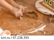 Маленькая девочка пекла пряники на кухне в канун Рождества. Стоковое фото, фотограф Pixel_shot / Фотобанк Лори