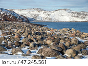 Пляж круглых камней на побережье Баренцевого моря. Териберка, Мурманская область. Редакционное фото, фотограф Анна Карасева / Фотобанк Лори