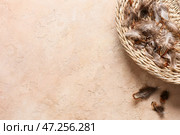Плетеная коробка с перьями фазана на бежевом фоне, крупным планом. Стоковое фото, фотограф Pixel_shot / Фотобанк Лори