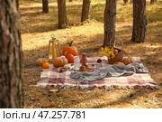 Вкусная еда и напитки для романтического пикника в лесу. Стоковое фото, фотограф Pixel_shot / Фотобанк Лори