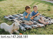 Two boys sit on a blanket and eat sandwiches in the backyard. Стоковое фото, фотограф София Тюленева / Фотобанк Лори