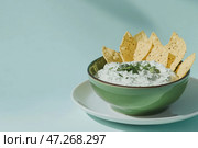 Traditional Greek Tzatziki dip sauce made with cucumber sour cream. Yogurt sauce with dill, lemon juice, olive oil. Served with toasted Za'atar Pita bread. Top view. Tarator, cacik or tartar. Стоковое AI-изображение, AI-художник Марина Демидюк / Фотобанк Лори