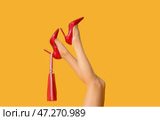 Красивая молодая женщина в колготках и с сумкой на цветном фоне. Стоковое фото, фотограф Pixel_shot / Фотобанк Лори