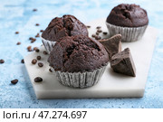 Доска с вкусными шоколадными маффинами на цветном фоне. Стоковое фото, фотограф Pixel_shot / Фотобанк Лори