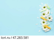 Менструальные тампоны и цветы на синем фоне. Стоковое фото, фотограф Pixel_shot / Фотобанк Лори