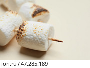 Шашлычки с вкусным зефиром на светлом фоне, крупным планом. Стоковое фото, фотограф Pixel_shot / Фотобанк Лори