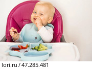 Baby food. The first meal. Feeding the baby. A cute little kid eats vegetables. Healthy food. The child is sitting on a high chair for feeding. Fresh vegetables and fruits. Стоковое фото, фотограф Photojuli / Фотобанк Лори