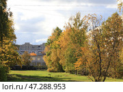 Детский садик в листве. Стоковое фото, фотограф Максим Поляков / Фотобанк Лори