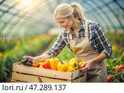 Agricultural industry. A wooden box with bell peppers in the hands of a female farmer. The gardener harvests a rich harvest in the greenhouse. Стоковое AI-изображение, AI-художник Photojuli / Фотобанк Лори
