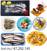Assorted dishes from small fish - sprat, hamsa, anchovy, sardines. Стоковое фото, фотограф Яков Филимонов / Фотобанк Лори