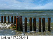 View of the Baltic Sea and wooden breakwaters of the city beach on a sunny summer day, Svetlogorsk, Kaliningrad region, Russia. Стоковое фото, фотограф Ula Ulachka / Фотобанк Лори