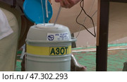 livestock fertilize the inseminator of cows. Стоковое видео, видеограф Алексей Сергеев / Фотобанк Лори