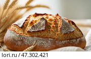 Freshly baked artisanal bread on kitchen counter with wheat stalks in soft lighting. Стоковое AI-изображение, AI-художник Сергей Толмачёв / Фотобанк Лори