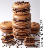 Chocolate macarons tower with ganache filling and chocolate chunks, homemade French pastry dessert, brown macaron cookies stack with dark chocolate pieces on light background, gourmet patisserie. Стоковое AI-изображение, AI-художник Сергей Тимофеев / Фотобанк Лори