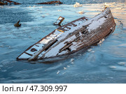 Заснеженный скелет старой деревянной лодки. Териберка, Кольский полуостров, Заполярье. Стоковое фото, фотограф Анна Карасева / Фотобанк Лори