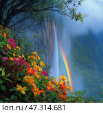 A magical landscape: a powerful waterfall rushing down a cliff, surrounded by dense greenery and covered in a light haze. Light refracts through the spray at the base of the waterfall, creating a bright, clear rainbow. In the foreground are lush tropical flowers of all shades: bright yellow, orange, pink and purple. Their riot of colors contrasts with the cool tones of the waterfall and misty forest. The atmosphere of the scene is filled with freshness, humidity and a sense of pristine nature. Стоковое AI-изображение, AI-художник Анна Кривицкая / Фотобанк Лори