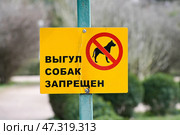 Табличка "Выгул собак запрещён" в парке. Стоковое фото, фотограф Snezka / Фотобанк Лори