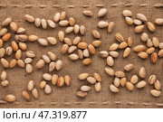Unshelled pistachios. Стоковое фото, фотограф Александр Собко / Фотобанк Лори