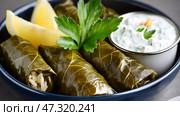 Delicious Greek dolmades with lemon wedges and tzatziki served on Mediterranean blue-and-white decor. Стоковое AI-изображение, AI-художник 123 12 / Фотобанк Лори