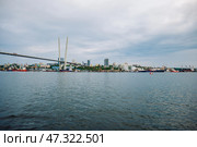 Cargo vessels occupying zolotoy rog bay, framing vladivostok's cable stayed bridge and urban skyline (2021 год). Редакционное фото, фотограф Mikhail Davidovich / Фотобанк Лори