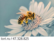 Close-up of a honey bee collecting nectar on a white flower against the background of a blue sky. Стоковое AI-изображение, AI-художник Iva Noel / Фотобанк Лори