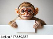Curious monkey wearing glasses holds blank sign for creative expression. Молодая обезьянка в больших очках с любопытством держит пустую белую табличку, демонстрируя свой игривый характер. Простой и светлый фон подчеркивает очаровательный вид обезьянки. Стоковое AI-изображение, AI-художник Katsiaryna Repich / Фотобанк Лори