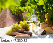Still life with wine, grapes and cheese at table in vineyards. Стоковое фото, фотограф Яков Филимонов / Фотобанк Лори