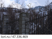 Забор на фоне гор Алматы. Медеу. Стоковое фото, фотограф Евгений Митрофанов / Фотобанк Лори