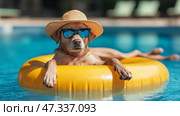Dog relaxing on a pool float wearing sunglasses and a hat on a sunny day. Коричневая собака плавает на желтом кольце в прозрачном голубом бассейне. На собаке надеты голубые солнцезащитные очки и соломенная шляпа, она наслаждается солнечным днем у воды. Стоковое AI-изображение, AI-художник Katsiaryna Repich / Фотобанк Лори