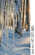 Sparkling icicles glistening in winter forest sunset. Стоковое AI-видео, аниматор Юрий Поздников / Фотобанк Лори
