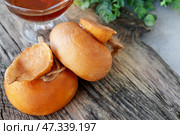 Collection of cheeses, rennet cheese smoked suluguni made from cow's milk in the Caucasus in Dagestan and Ossetia, yellow smoked cheese. Стоковое фото, фотограф Оксана Медведева / Фотобанк Лори