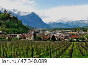 Vaduz castle view, Lichtenstein. april 2012. Редакционное фото, фотограф Александр Карпенко / Фотобанк Лори