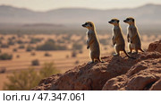 Three small animals, possibly gazelles. Стоковое AI-видео, аниматор Sergey Grishin / Фотобанк Лори