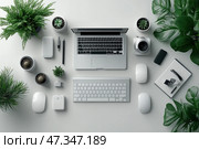 A perfectly organized and minimalist workspace. In the center is a silver laptop and wireless keyboard, surrounded by various accessories: white computer mice, a camera, a notepad, pens, a charger, and headphones. A special freshness is given by live plants in stylish pots, located symmetrically throughout the composition. The color palette is white and gray with an emphasis on green shades. The space looks aesthetically pleasing, modern, and inspiring - ideal for productive work. Стоковое AI-изображение, AI-художник Анна Кривицкая / Фотобанк Лори
