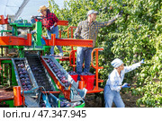 Three workers gathering plums in plantation. Стоковое фото, фотограф Яков Филимонов / Фотобанк Лори
