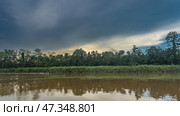 Morning in the jungles of Borneo. A tourist boat is sailing on a calm river. Thickets of green vegetation of the rainforest on the shore- grass, trees. Clouds in the sky. Reflection on the water. Стоковое фото, фотограф Вера Ивановна Кубарева / Фотобанк Лори