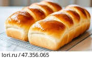 Freshly baked golden brown loaves of soft milk bread on cooling rack. Стоковое AI-изображение, AI-художник Olga Didraga / Фотобанк Лори