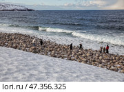 Териберка, природный парк. Туристы на каменном пляже. Редакционное фото, фотограф Юлия Бабкина / Фотобанк Лори
