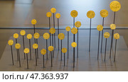 Abu Dhabi, United Arab Emirates - Jan 17 2024, close up view of ancient gold coins mounted on stands, on exhibition of museum Louvre Abu Dhabi, UAE. Редакционное фото, фотограф Сергей Богомяко / Фотобанк Лори