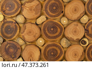 Wood panel made from cuts from a tree trunk. Стоковое фото, фотограф Александр Собко / Фотобанк Лори