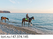 Черное море, осень, закат солнца, всадник на водопое коня,  жеребенок. Краснодарский край, Туапсинский район, Михайловская бухта. Стоковое фото, фотограф Александр Циликин / Фотобанк Лори