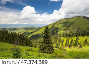 The Terskey Ala-Too in the Tian Shan mountains in Kyrgyzstan (2022 год). Стоковое фото, фотограф Юлия Белоусова / Фотобанк Лори