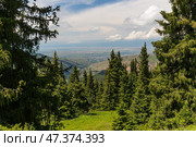 The Terskey Ala-Too in the Tian Shan mountains in Kyrgyzstan (2022 год). Стоковое фото, фотограф Юлия Белоусова / Фотобанк Лори