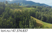 Aerial view of the Indian forest in Kerala. Стоковое фото, фотограф Mikhail Davidovich / Фотобанк Лори