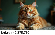 Majestic Ginger Cat Lounging Gracefully in a Cozy Indoor Setting Surrounded by Soft Light and Comforting Colors. Стоковое AI-изображение, AI-художник Sergey Grishin / Фотобанк Лори