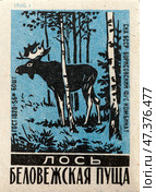 Лось. Серия: Беловежская пуща. Спичечные этикетки СССР. 1960. Редакционное фото, фотограф Сергей Афанасьев / Фотобанк Лори