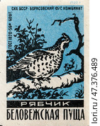 Рябчик. Серия: Беловежская пуща. Спичечные этикетки СССР. 1960. Редакционное фото, фотограф Сергей Афанасьев / Фотобанк Лори
