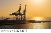 Manama, Bahrain - Jan 08 2024, Panoramic view of Bahrain commercial port with blue cranes, buildings and containers, with sea on foreground, by the morning, dawn, sunrise, Manama, Bahrain. Стоковое фото, фотограф Сергей Богомяко / Фотобанк Лори