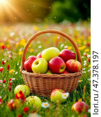 A basket of ripe apples. August 19 - Transfiguration of the Lord, or Apple Savior - one of the first harvest holidays; the day from which, according to legend, nature transitioned from summer to autumn and winter. Стоковое AI-изображение, AI-художник Сергей Елизарьев / Фотобанк Лори